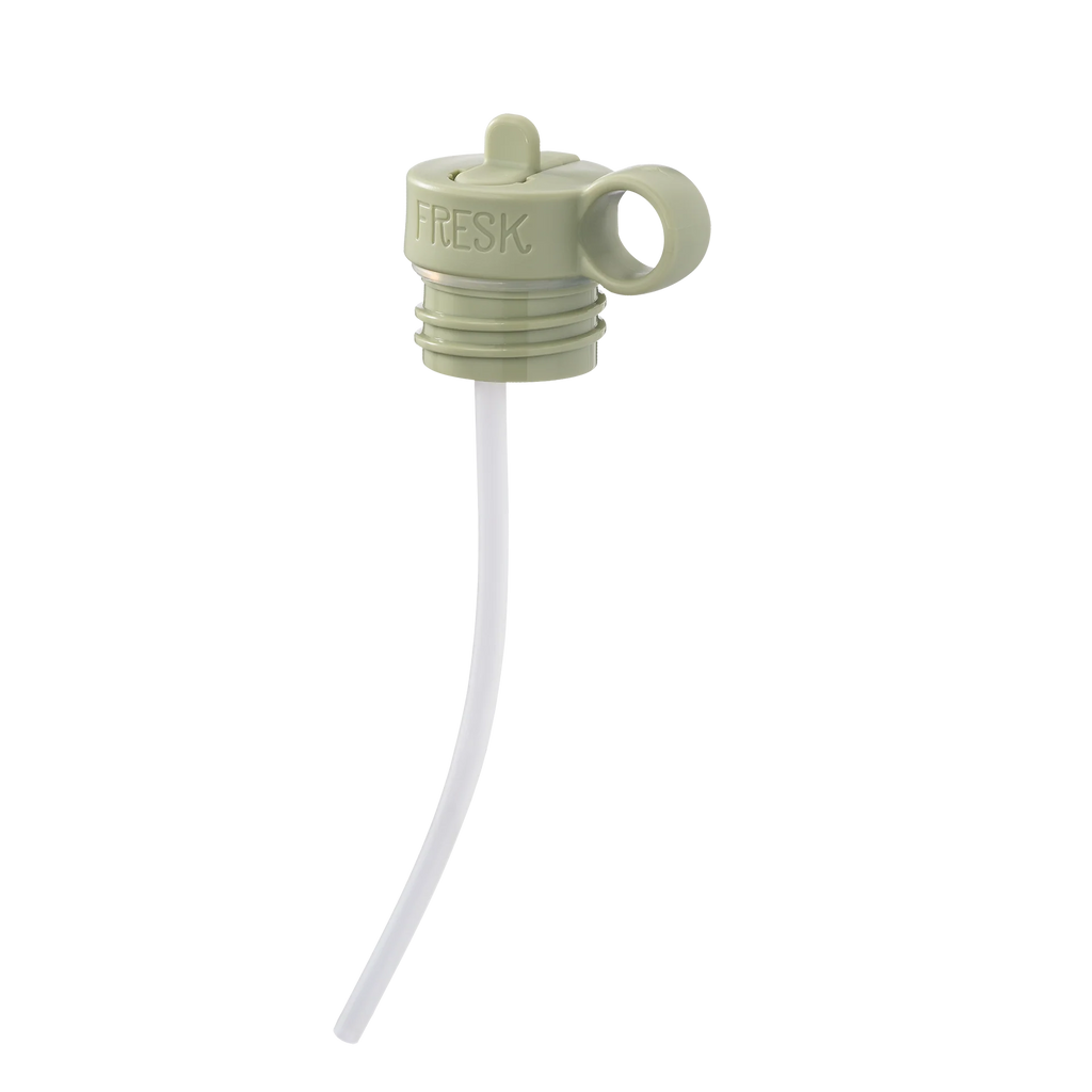 Fresk - Thermosfles 350ml Krokodil